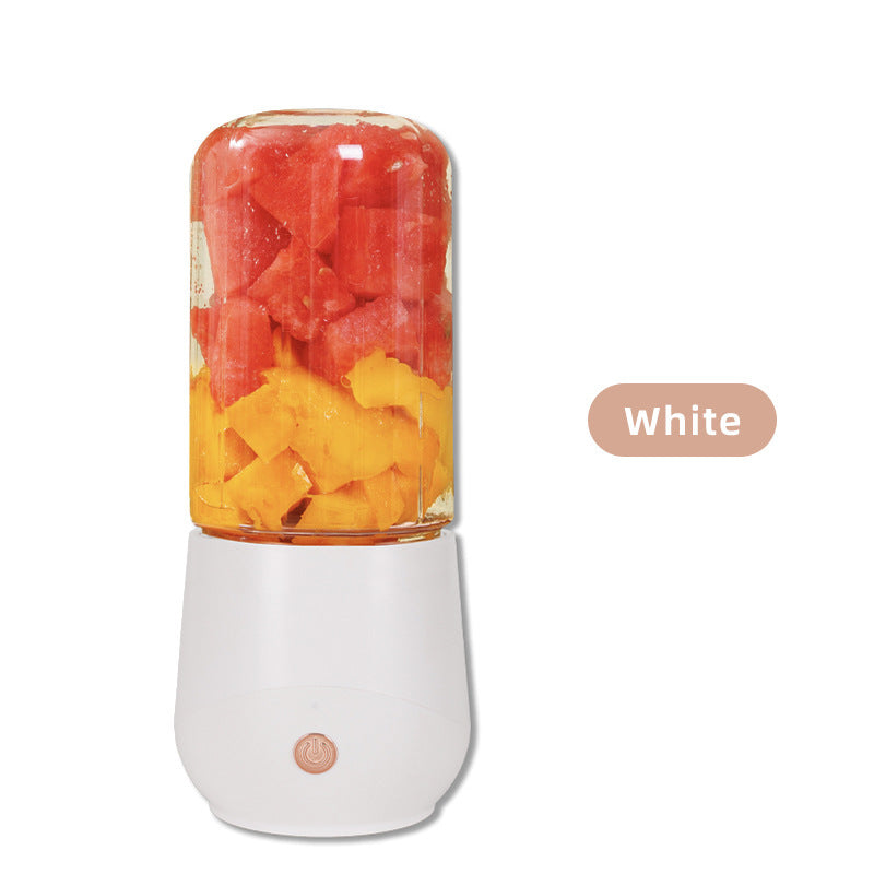 Mini Fruit Juicer