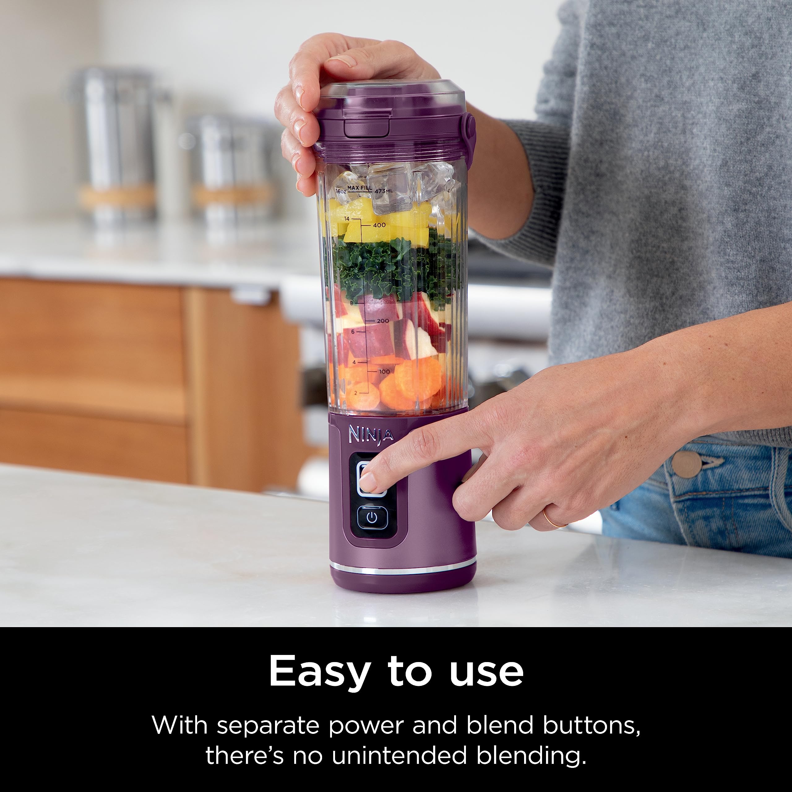 Portable Blender