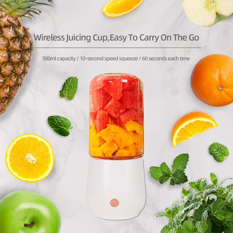 Mini Fruit Juicer