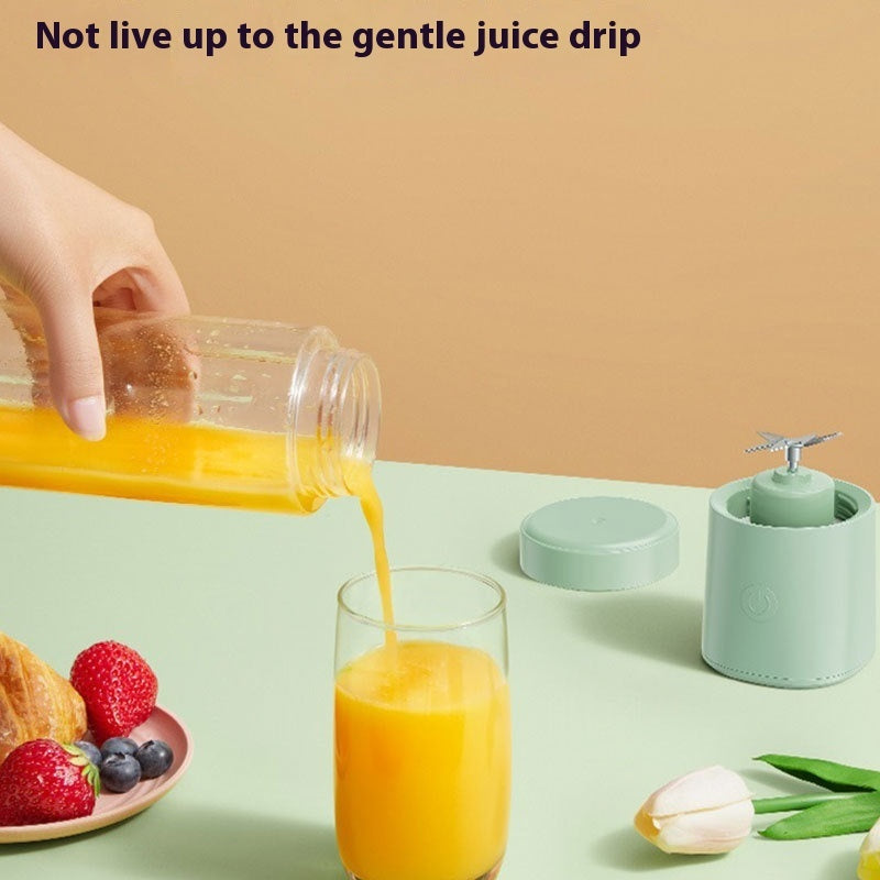 Household Portable Juicer Cup